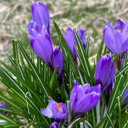 Flott Moderne I Holterdalen, 4 Soverom, 2 Bad, Jacuzzi, Garasje