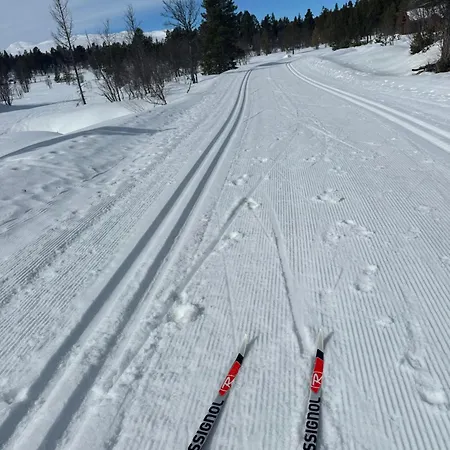 Flott Moderne I Holterdalen, 4 Soverom, 2 Bad, Jacuzzi, Garasje Σπίτι διακοπών *