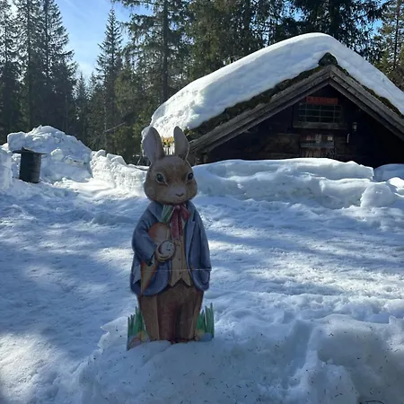 Flott Moderne I Holterdalen, 4 Soverom, 2 Bad, Jacuzzi, Garasje Rauland